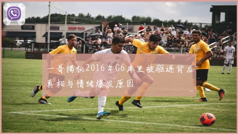一哥揭秘2016年G6库里被驱逐背后真相与情绪爆发原因
