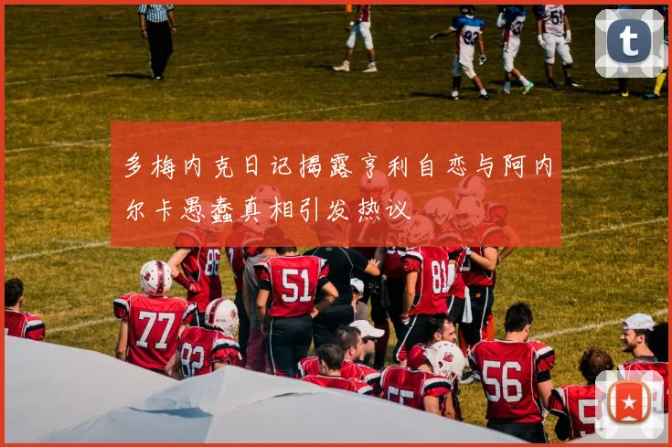 多梅内克日记揭露亨利自恋与阿内尔卡愚蠢真相引发热议