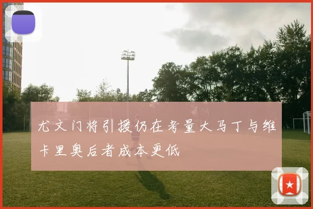 尤文门将引援仍在考量大马丁与维卡里奥后者成本更低